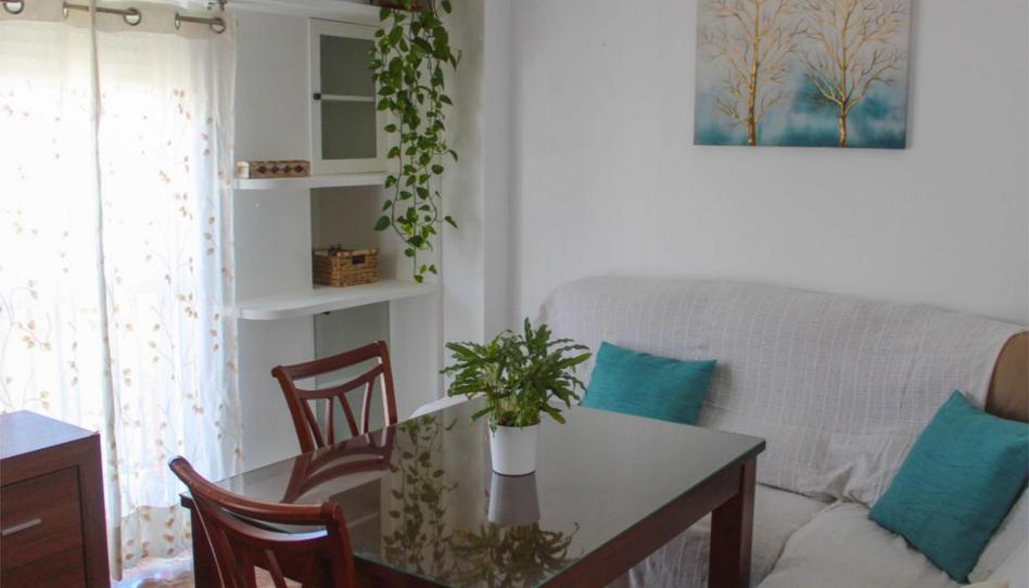 Pis de lloguer a Calle Espejo Blancas, 12, Santa Rosa - Valdeolleros, Córdoba - imatge 1 Foto 1 de Pis de lloguer a Calle Espejo Blancas, 12, Santa Rosa - Valdeolleros, Córdoba