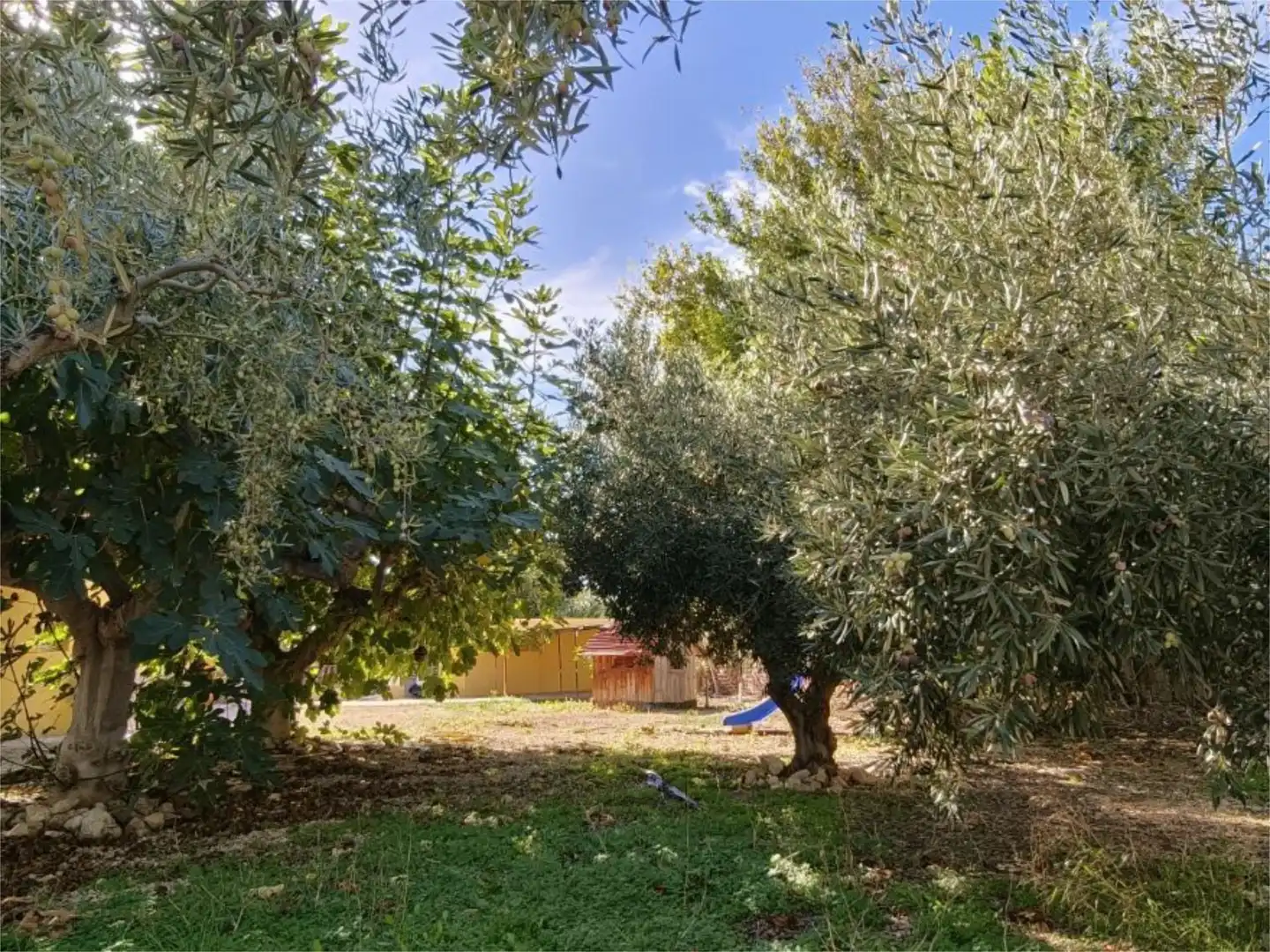 Casa o xalet en venda a Calle Arpa, 22, Moralet Casa o xalet en venda en Alicante / Alacant amb Aire condicionat, Calefacció i Jardí privat