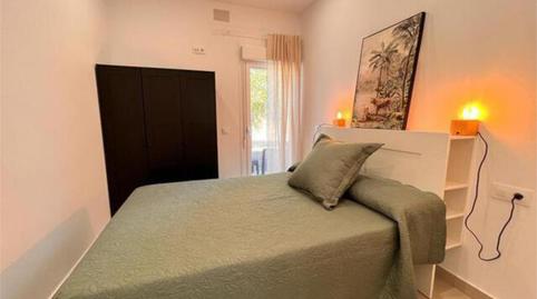 Apartment to rent in El Palmar, Cádiz - image 4 Photo 4 of Apartment to rent in El Palmar, Cádiz