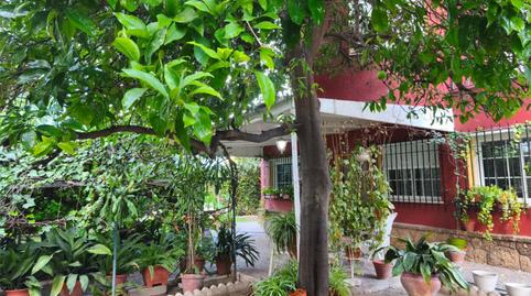 Photo 4 of Flat for sale in Calle de la Tórtola, 1a, Crevillet, Cádiz