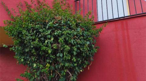 Photo 5 of Flat for sale in Calle de la Tórtola, 1a, Crevillet, Cádiz