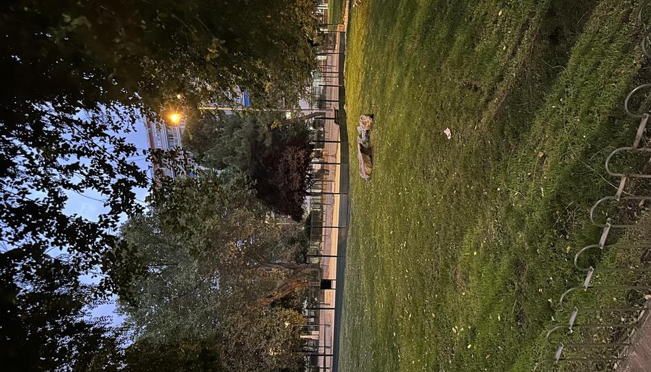 Foto 1 de Planta baixa en venda a Calle Pozo Nieve, 5, Parque Cataluña, Madrid