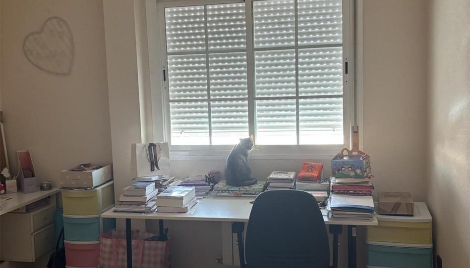 Casa o chalet en venta en Calle Río Tajo, 7, Meco pueblo, Madrid - imagen 1 Foto 1 de Casa o chalet en venta en Calle Río Tajo, 7, Meco pueblo, Madrid