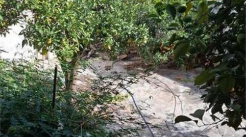 Casa o xalet en venda a Riogordo, Málaga - imatge 4 Foto 4 de Casa o xalet en venda a Riogordo, Málaga