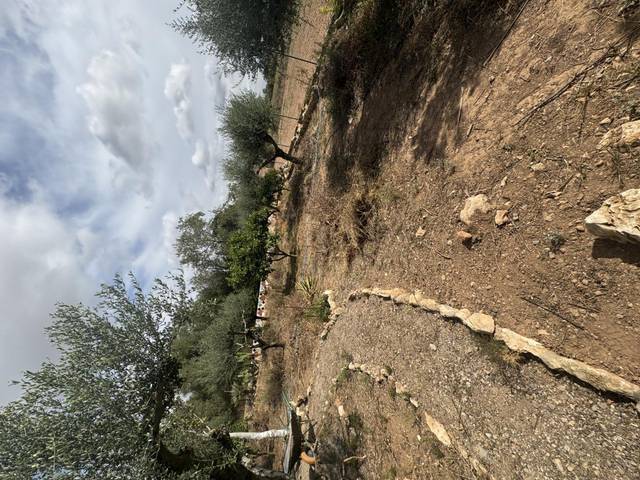 Terreno en Venta en Carrer de Mossen Antoni Paradís, 16 en Santa Oliva