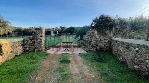 Finca rústica en venda a Calle Egido, 38, Higuera la Real, Badajoz - imatge 4 Foto 4 de Finca rústica en venda a Calle Egido, 38, Higuera la Real, Badajoz