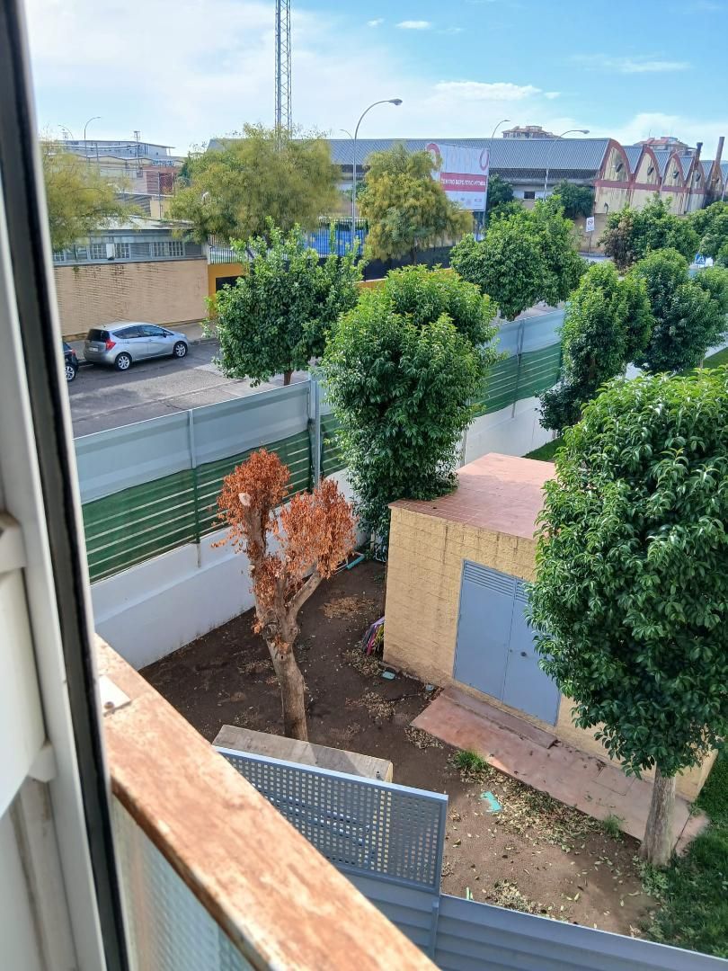 Garden of Flat for sale in  Sevilla Capital  with Community parking, Balcony and Community pool