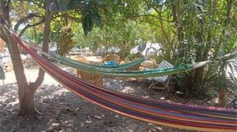 Casa o chalet en venta en Sant Llorenç des Cardassar, Illes Balears - imagen 5 Foto 5 de Casa o chalet en venta en Sant Llorenç des Cardassar, Illes Balears