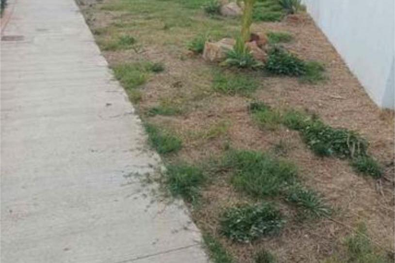 Photo 1 of Single-family semi-detached to rent in Casco Antiguo, Cádiz