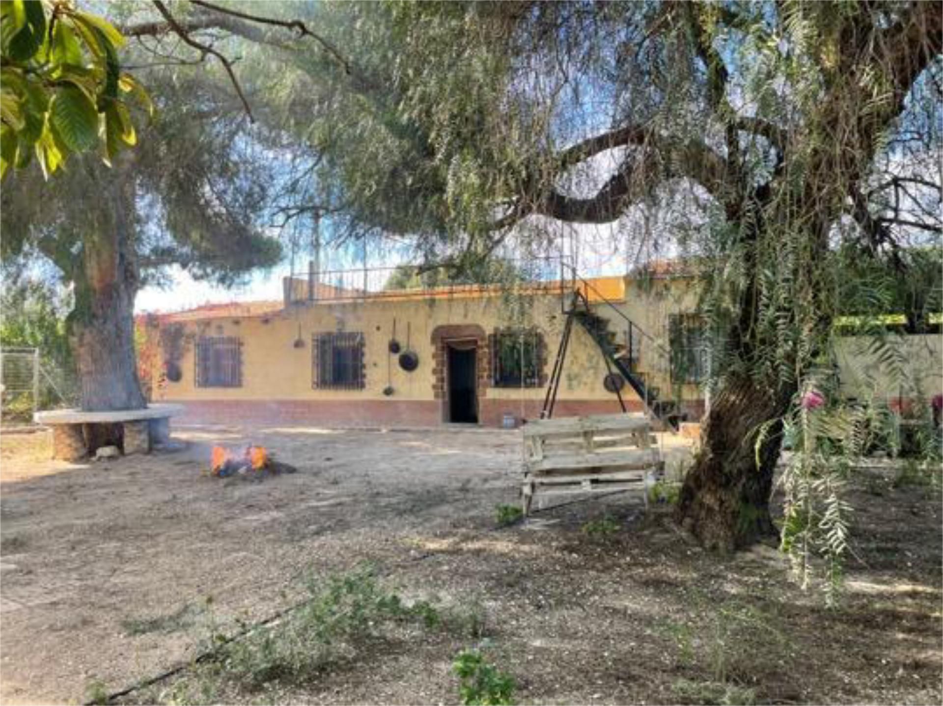 Vista exterior de Casa o xalet de lloguer en Mula