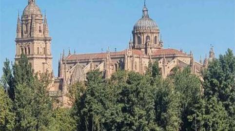 Photo 4 of Flat for sale in Tormes - La Vega, Salamanca