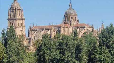 Foto 3 de Pis en venda a Tormes - La Vega, Salamanca Capital
