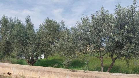 Photo 4 of Land for sale in Carrer Catalunya, 2, Torreblanca, Castellón