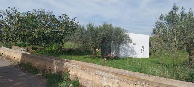 Terreno en Venta en Carrer Catalunya, 2 en Torreblanca