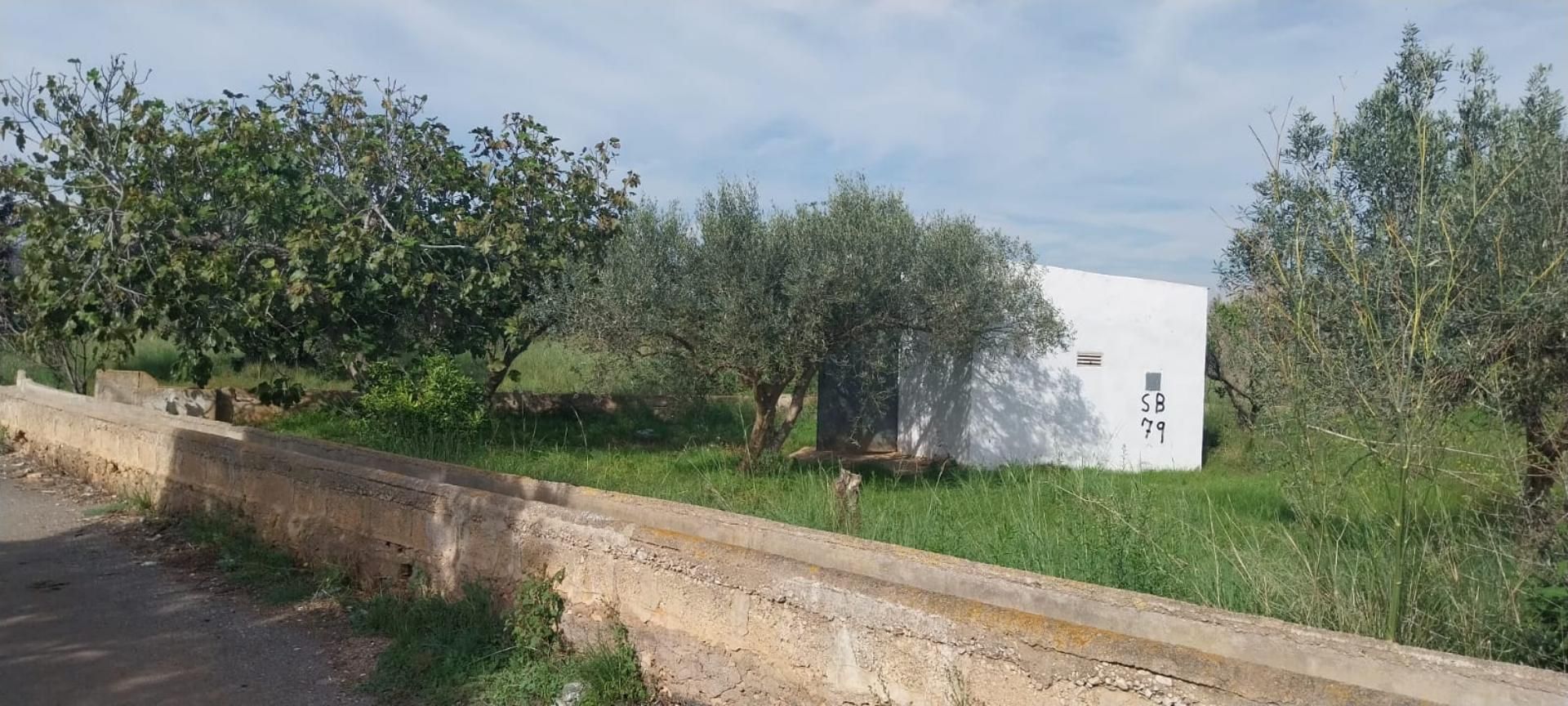 Land for sale in Torreblanca