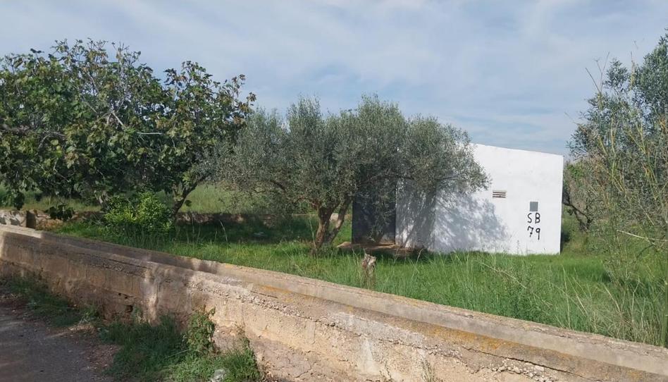 Photo 1 of Land for sale in Carrer Catalunya, 2, Torreblanca, Castellón
