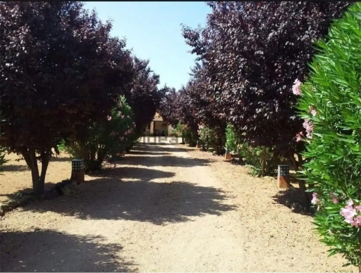 Finca rústica en venta en Malagón Jardín de Finca rústica en venta en Malagón