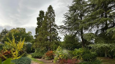 Foto 3 de Casa o xalet en venda a Los Satélites - Roza Martín, Majadahonda
