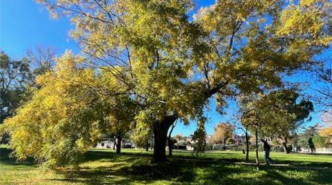 Foto 4 de Casa o xalet en venda a Los Satélites - Roza Martín, Majadahonda