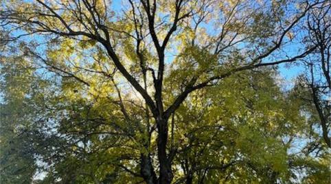 Foto 5 de Casa o xalet en venda a Los Satélites - Roza Martín, Majadahonda