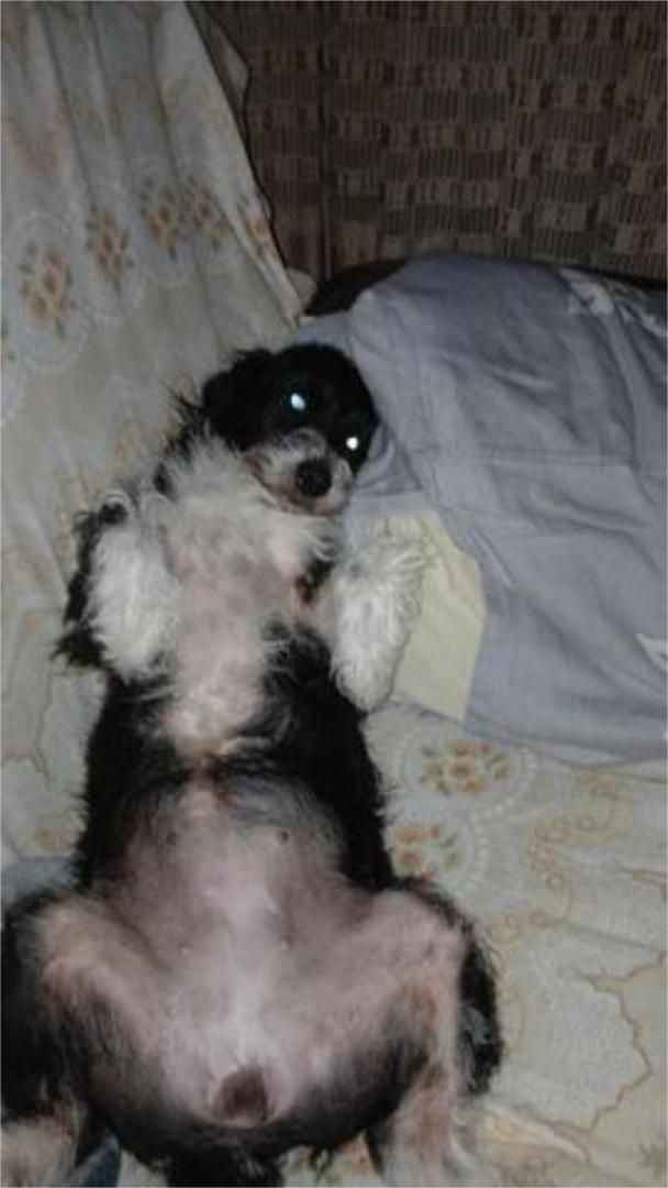 Dormitori de Casa o xalet en venda en Bolulla amb Terrassa i Traster