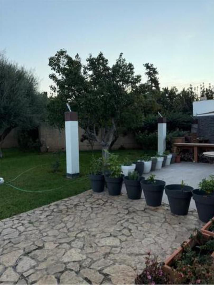 Garden of House or chalet for sale in  Palma de Mallorca