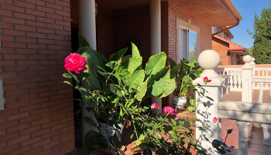 Flat for sale in Calle Escocia, 14, Peñas Albas - Zulema, Madrid - image 1 Photo 1 of Flat for sale in Calle Escocia, 14, Peñas Albas - Zulema, Madrid