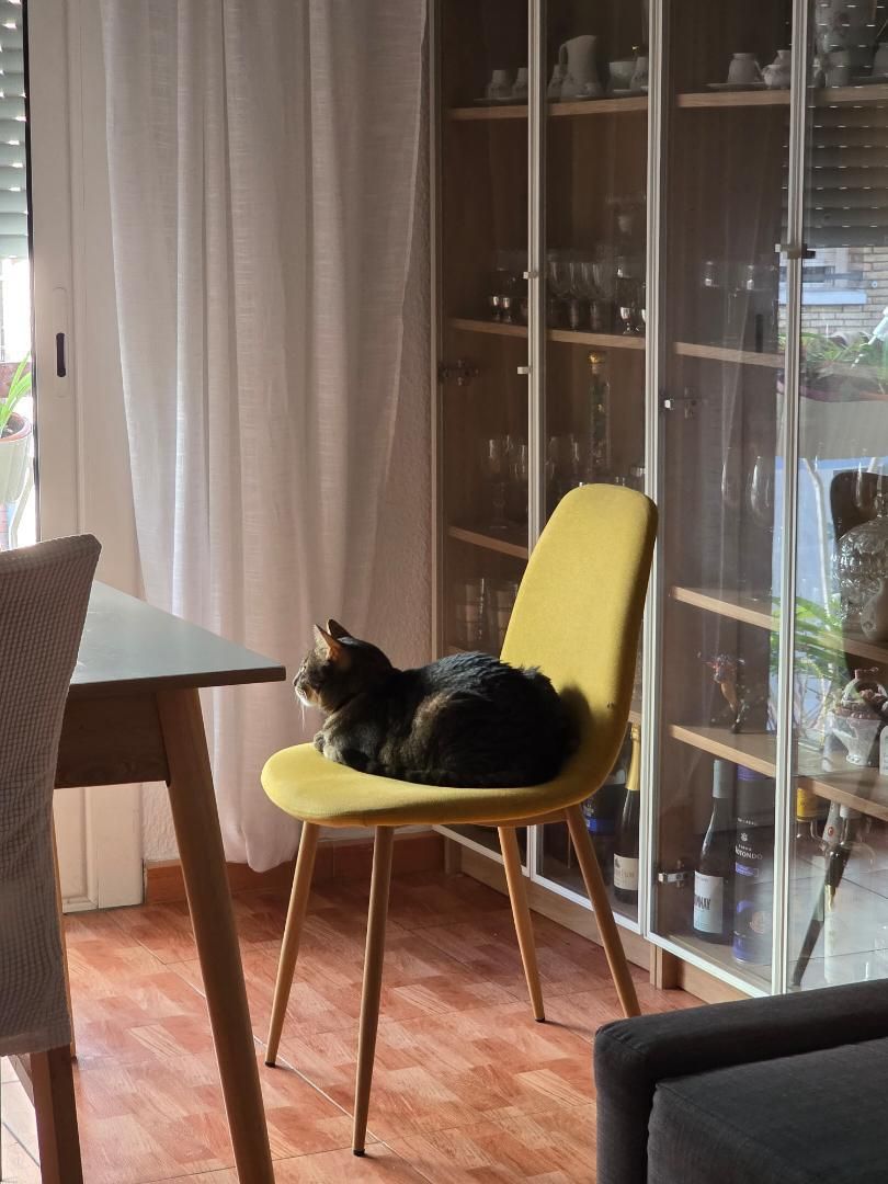 Flat to share in Carrer de Cornellà, Sanfeliu Exterior view of Flat to share in L'Hospitalet de Llobregat with Furnished, Oven and Washing machine