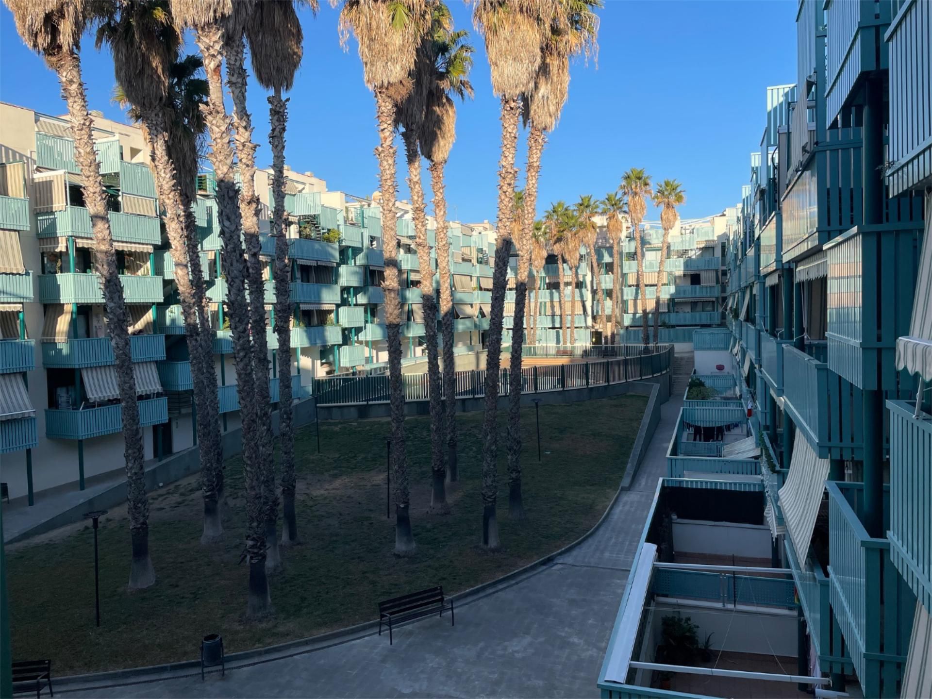 Pis en venda a Travessia de Sant Jeroni, 1, Bufalà Vista exterior de Pis en venda en Badalona amb Piscina i Balcó