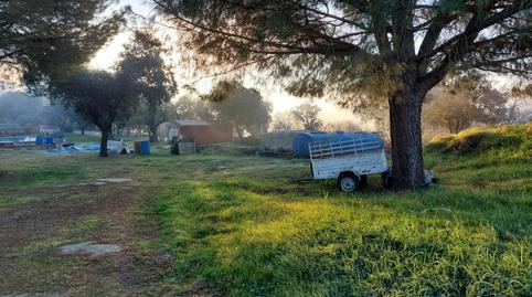 Finca rústica en venta en Calle Llanos de Cáceres, 5, La Cañada, Cáceres - imagen 2 Foto 2 de Finca rústica en venta en Calle Llanos de Cáceres, 5, La Cañada, Cáceres