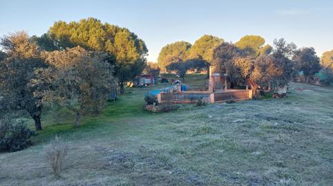 Finca rústica en venta en Calle Llanos de Cáceres, 5, La Cañada, Cáceres - imagen 4 Foto 4 de Finca rústica en venta en Calle Llanos de Cáceres, 5, La Cañada, Cáceres