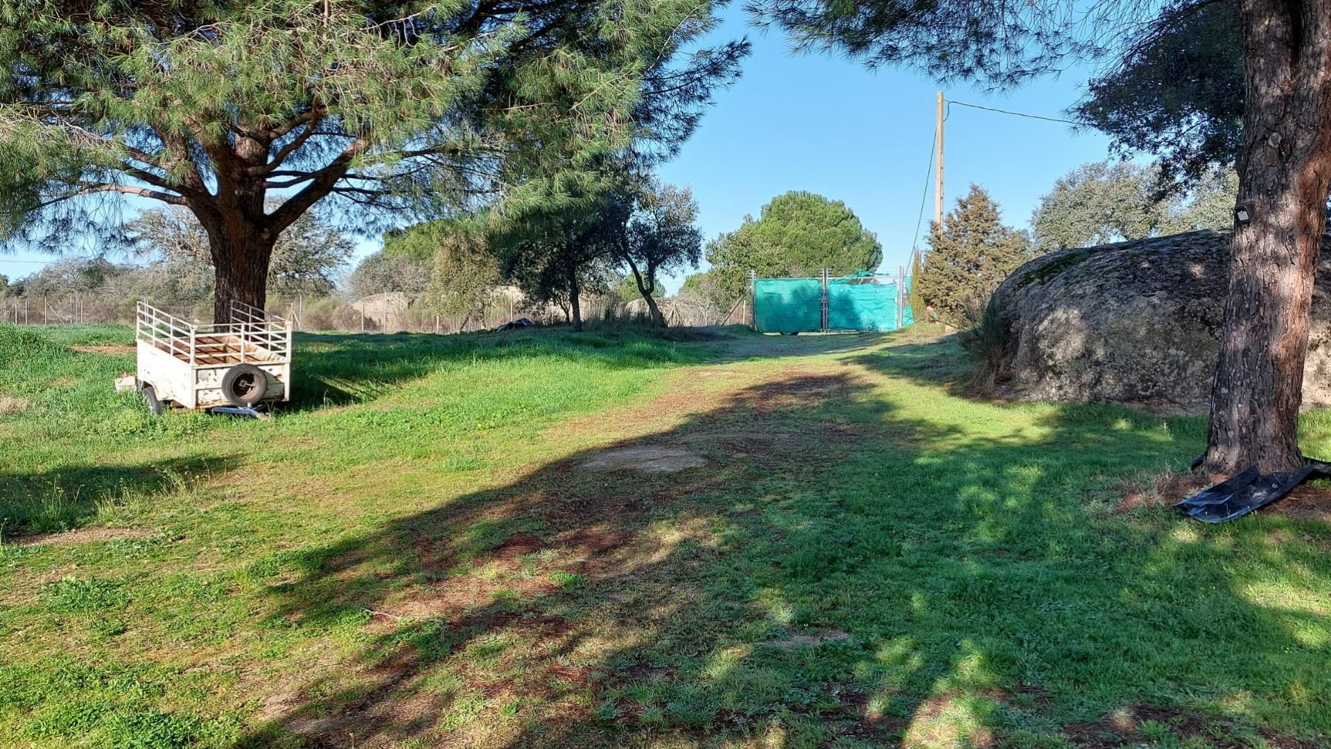 Finca rústica en venda a Calle Llanos de Cáceres, 5, La Cañada Finca rústica en venda en Cáceres Capital amb Jardí privat, Terrassa i Piscina