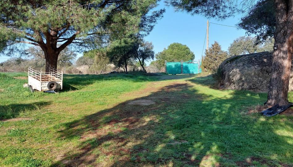 Finca rústica en venta en Calle Llanos de Cáceres, 5, La Cañada, Cáceres - imagen 1 Foto 1 de Finca rústica en venta en Calle Llanos de Cáceres, 5, La Cañada, Cáceres
