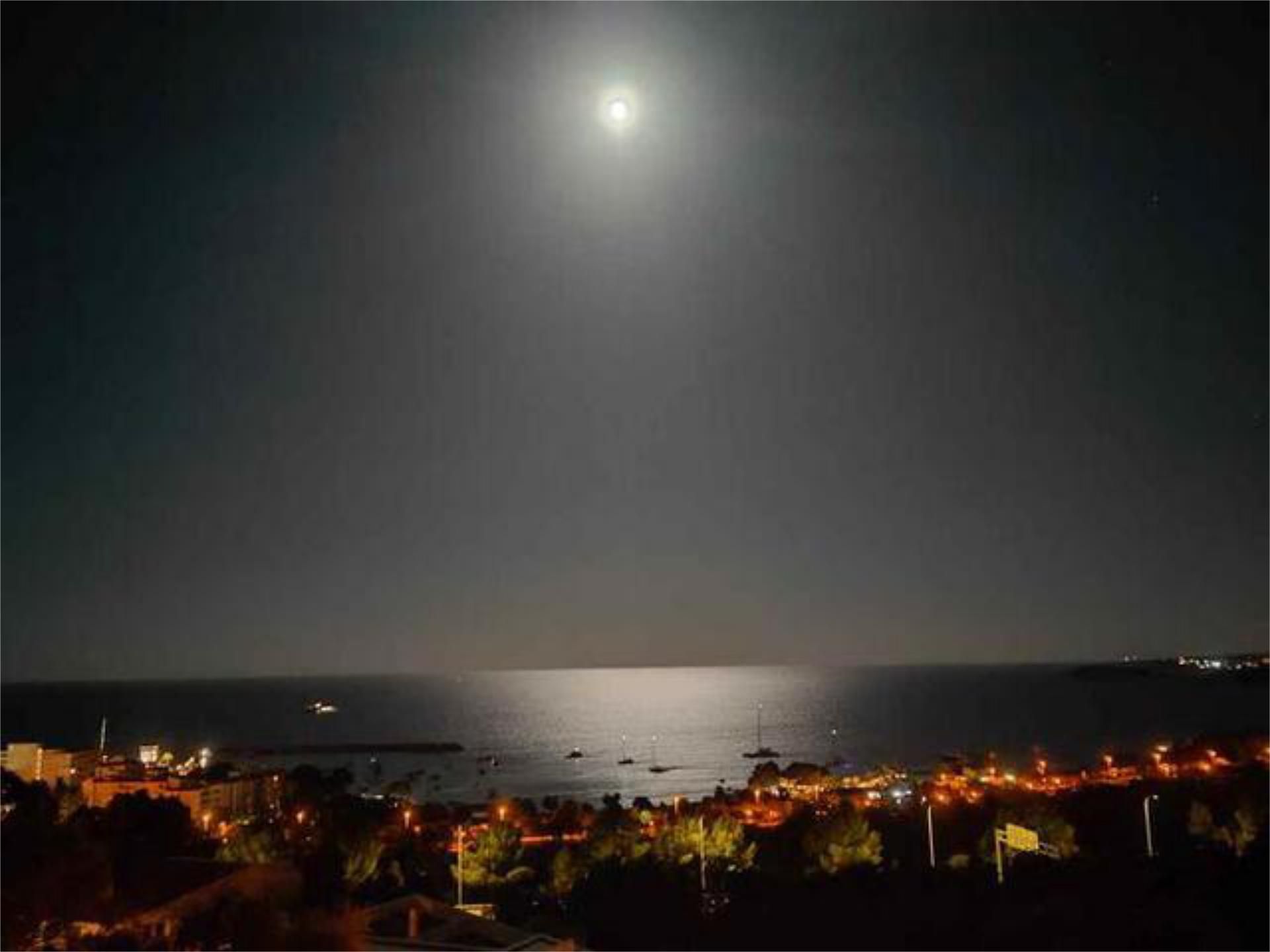 Exterior view of Single-family semi-detached for sale in Calvià  with Heating, Private garden and Terrace