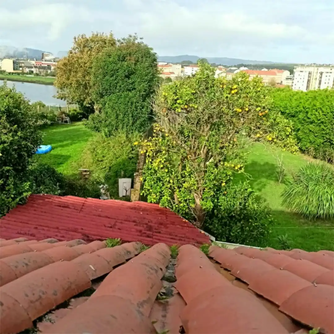 Jardí de Casa o xalet en venda en Neda amb Terrassa