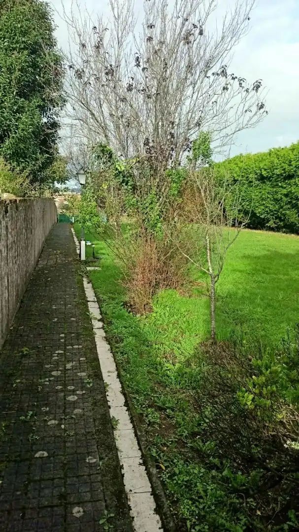 Casa o xalet en venda en Neda amb Terrassa