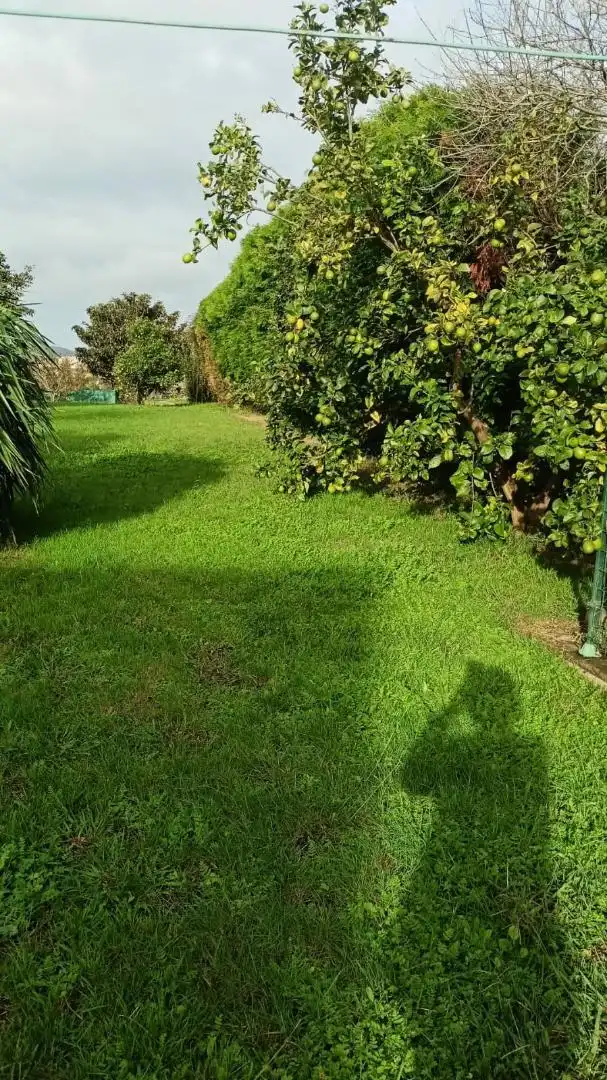 Casa o xalet en venda en Neda amb Terrassa