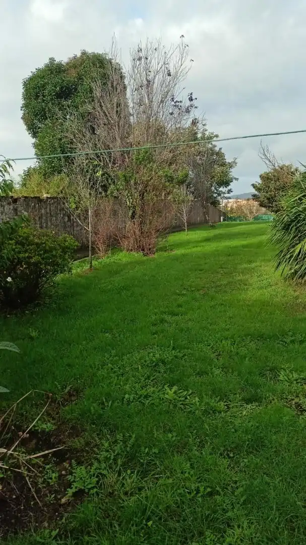 Casa o xalet en venda en Neda amb Terrassa