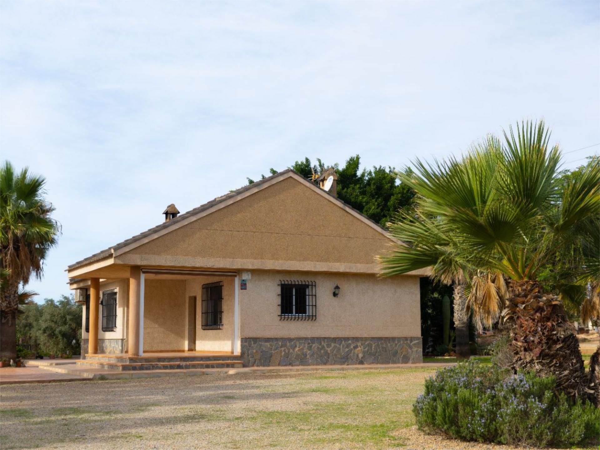 Exterior view of House or chalet for sale in Elche / Elx  with Air Conditioner, Terrace and Swimming Pool