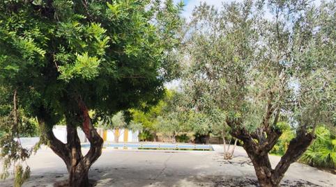 Casa o xalet en venda a Carrer Mancomunitat, 18, Favara, Valencia - imatge 4 Foto 4 de Casa o xalet en venda a Carrer Mancomunitat, 18, Favara, Valencia