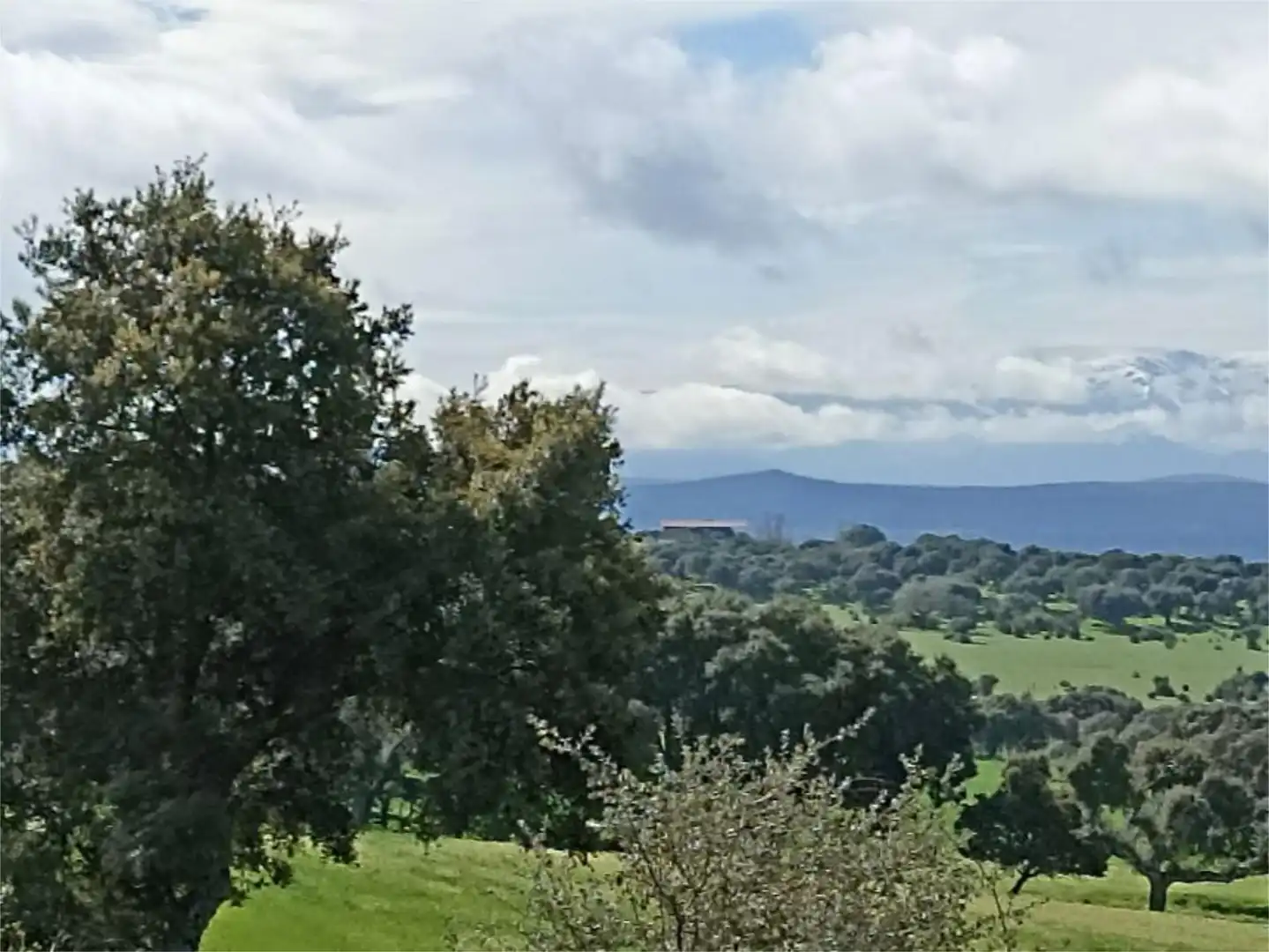 Vista exterior de Planta baja en venta en Membribe de la Sierra con Calefacción, Terraza y Amueblado