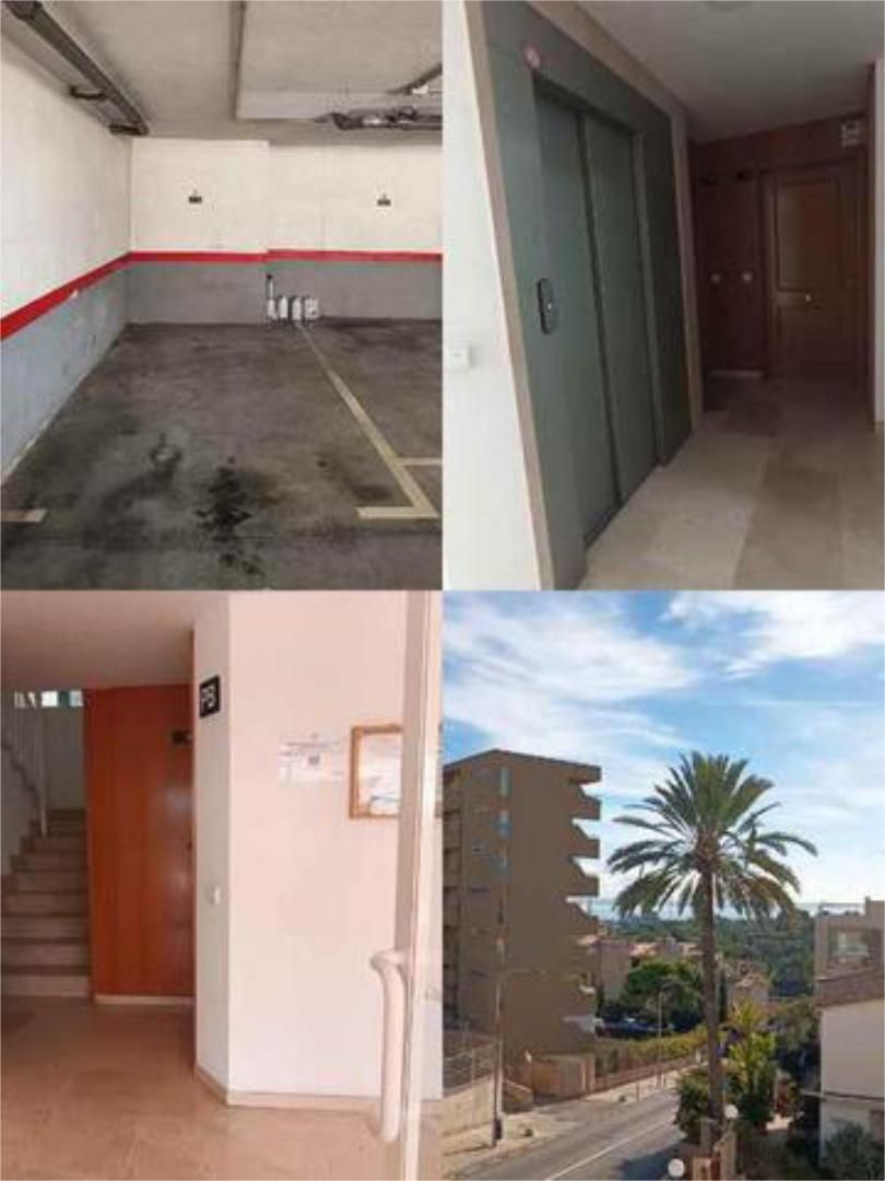 Flat to rent in Cala Major