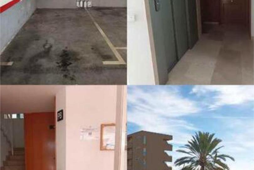 Photo 1 of Flat to rent in Cala Major, Illes Balears