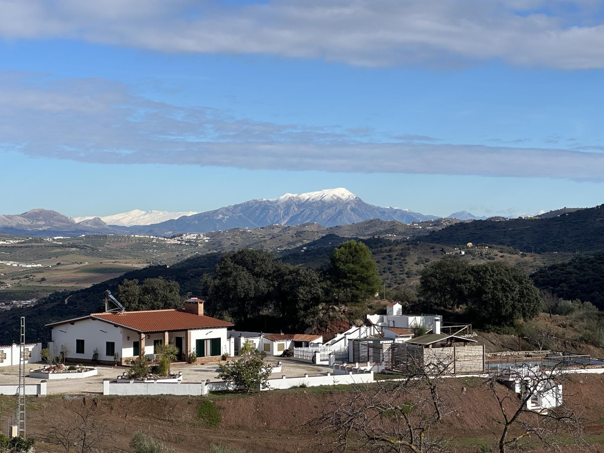 Vista exterior de Finca rústica en venda en Casabermeja amb Terrassa i Piscina