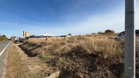 Terreny industrial en venda a Calle Barón de la Torre, 129, Cintruénigo, Navarra - imatge 3 Foto 3 de Terreny industrial en venda a Calle Barón de la Torre, 129, Cintruénigo, Navarra