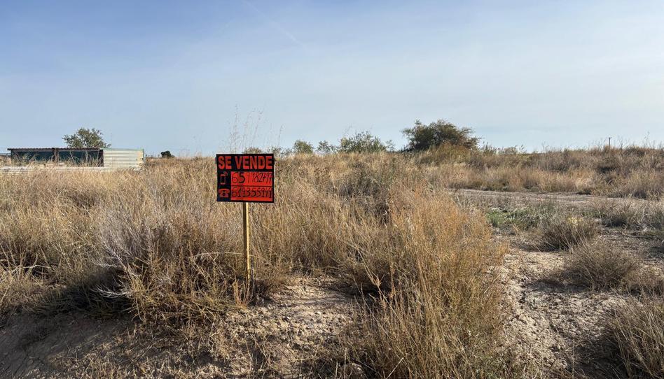 Terreny industrial en venda a Calle Barón de la Torre, 129, Cintruénigo, Navarra - imatge 1 Foto 1 de Terreny industrial en venda a Calle Barón de la Torre, 129, Cintruénigo, Navarra