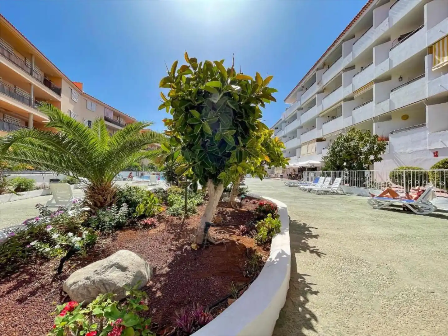 Pis en venda a Calle Boston, 4, Los Cristianos Vista exterior de Pis en venda en Arona amb Terrassa, Piscina i Moblat