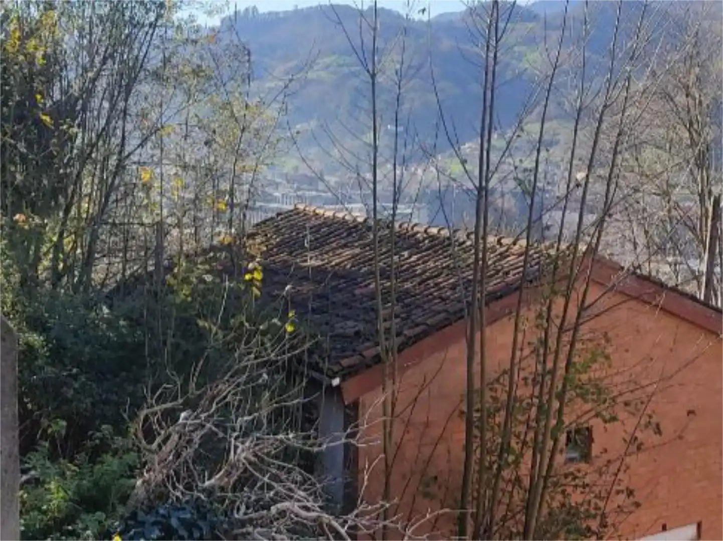 Vista exterior de Casa o chalet en venta en Mieres (Asturias)