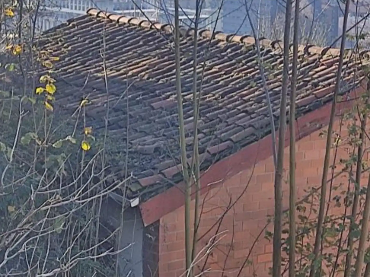 Vista exterior de Casa o chalet en venta en Mieres (Asturias)