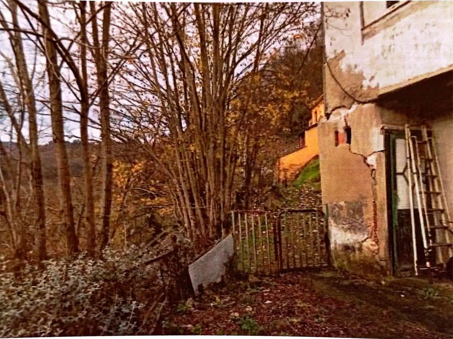 Vista exterior de Casa o chalet en venta en Mieres (Asturias)